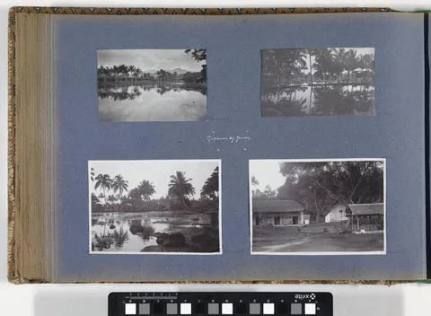 RECORD DATE NOT STATED  More with palms at Tjisoeroepan on Java, Anonymous... Stock-Fotos