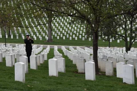 RECORD DATE NOT STATED Navy Seaman 1st Class Walter C. Stein, 20, of Cheye... Photos