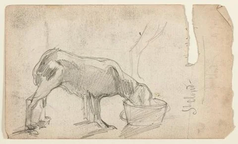 RECORD DATE NOT STATED  Nozal, Alexandre (n.1852-08-07-D.1929), dog study ... Stock Photos