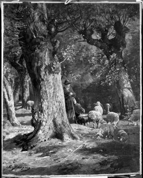 RECORD DATE NOT STATED The Old Forest Charles-Emile Jacque (French, 1813-1... Stockfoto's