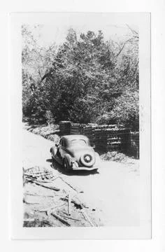 RECORD DATE NOT STATED Original caption: E.C.W. Seasoning cedar fenceposts... Stock Photos