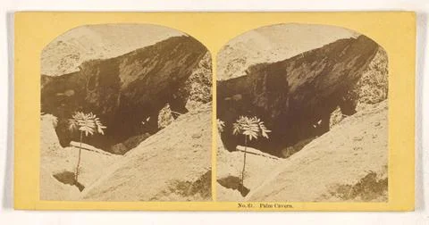 RECORD DATE NOT STATED Palm Cavern.. George H. Scripture (American, 1839 -... Stock Photos