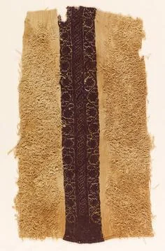 RECORD DATE NOT STATED Panel (Egypt); warp; s-spun, teo ply z-twist. wefts... Stock Photos