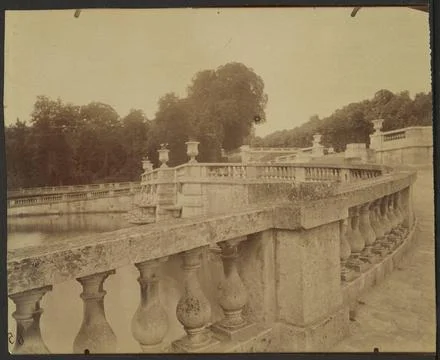 RECORD DATE NOT STATED  Parc de Saint Cloud. Eugene Atget, photographer (F... Foto stock