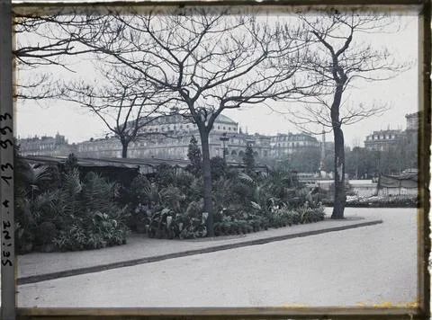 RECORD DATE NOT STATED Paris (4th arr.), France The Flower Market on the I... 스톡 사진