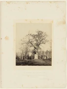 RECORD DATE NOT STATED Parish Boundary Oak near Ascot Gate. Copyright: xpi... Stock Photos