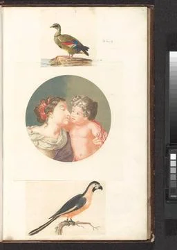 RECORD DATE NOT STATED  Parrot on a branch to the right, Anonymous, 1688 -... Stock Photos