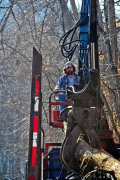 RECORD DATE NOT STATED Parsons, W.Va., Nov. 9, 2012 A contractor loads Hur... 写真素材