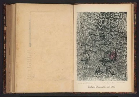 RECORD DATE NOT STATED  Pattern of plumes, Speiser et Manissadjian, c. 189... Stock Photos