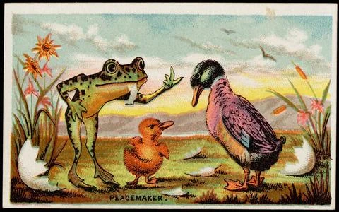 RECORD DATE NOT STATED Peacemaker , Ducks, Frogs, 19th Century American Tr... Stock Photos