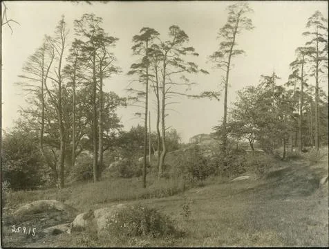 RECORD DATE NOT STATED Plot bodd upper. State Railways, SJ. Future locatio... Foto stock