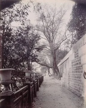 RECORD DATE NOT STATED  Port of the Louvre. PARIS (Ier arrondissement), 19... 写真素材