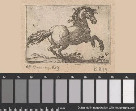 RECORD DATE NOT STATED  Prancing horse used to the right, Antonio Tempesta... Stock Photos