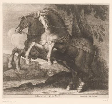 RECORD DATE NOT STATED  Prancing horses, Charles II Errard (attributed to)... Stock Photos