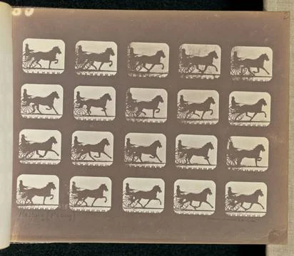 RECORD DATE NOT STATED Racking (Pacing). Twenty frames depicting a horse-d... Foto stock