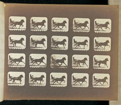 RECORD DATE NOT STATED Racking (Pacing). Twenty frames depicting a horse-d... Foto stock
