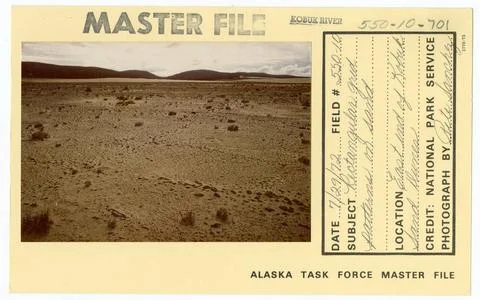 RECORD DATE NOT STATED Rectangular grid patterns on sand. Alaska Task Forc... Stock Photos