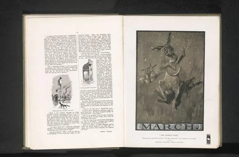 RECORD DATE NOT STATED  Reproduction of a drawing of a hare that plays Ban... Stock Photos