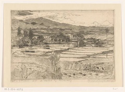 RECORD DATE NOT STATED  Rice fields at the Salak volcano on Java, Wijnand ... Foto stock