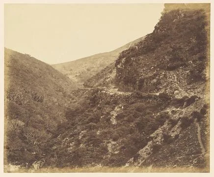 RECORD DATE NOT STATED On the road to Watersmeet, near Lynton, North Devon... Stock Photos