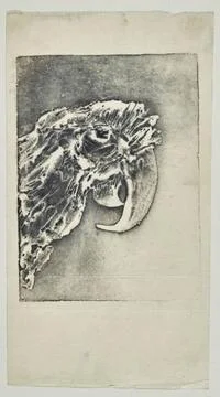 RECORD DATE NOT STATED  Roche, Pierre (n.1855-D.1922-01-18), parrot (main ... Foto stock