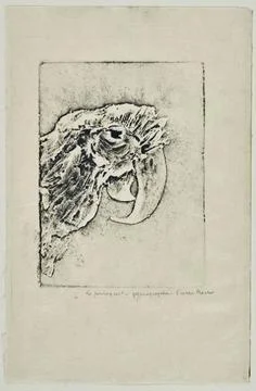 RECORD DATE NOT STATED  Roche, Pierre (n.1855-D.1922-01-18), parrot (main ... Foto stock