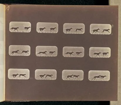 RECORD DATE NOT STATED Running. Twelve frames depicting two Greyhounds run... Stock Photos