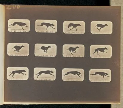 RECORD DATE NOT STATED Running. Twelve frames depicting a Greyhound runnin... Stock Photos