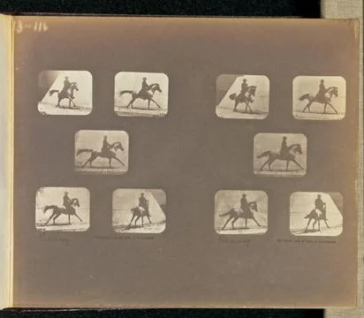 RECORD DATE NOT STATED Running. Two sets of five frames depicting a horse ... Stock Photos