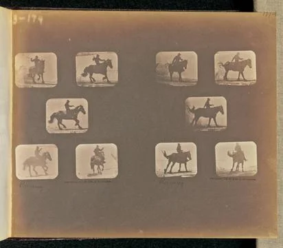 RECORD DATE NOT STATED Running. Two sets of five frames depicting a horse ... Stock Photos