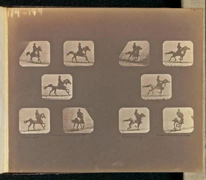 RECORD DATE NOT STATED Running. Two sets of five frames depicting a horse ... Stock Photos