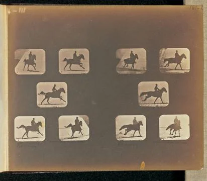 RECORD DATE NOT STATED Running. Two sets of five frames depicting a horse ... Stock Photos