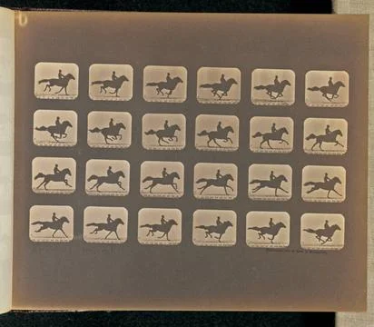 RECORD DATE NOT STATED Running (Galloping). Twenty-four frames depicting a... Stock Photos