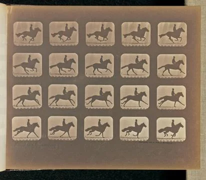 RECORD DATE NOT STATED Running (Galloping). Twenty frames depicting a hors... Stock Photos