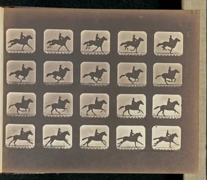 RECORD DATE NOT STATED Running (Galloping). Twenty frames depicting a hors... Stock Photos