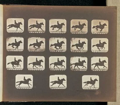 RECORD DATE NOT STATED Running (Galloping). Eighteen frames depicting a ho... Stock Photos