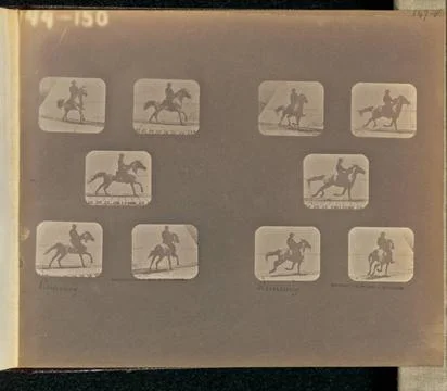 RECORD DATE NOT STATED Running. Two sets of five frames depicting a horse ... Stock Photos