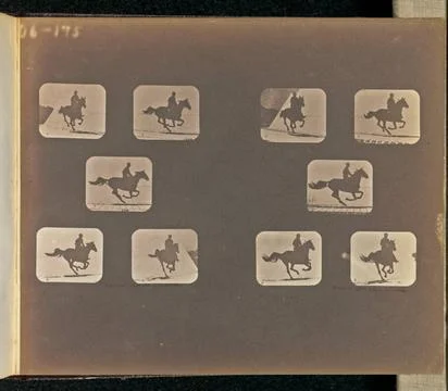 RECORD DATE NOT STATED Running. Two sets of five frames depicting a horse ... Stock Photos