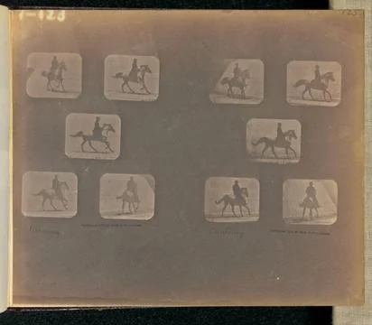 RECORD DATE NOT STATED Running. Cantering. Two sets of five frames depicti... Stock Photos