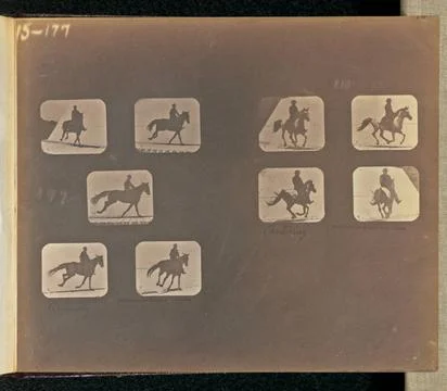 RECORD DATE NOT STATED Running. Cantering. Two sets of multiple frames dep... Stock Photos