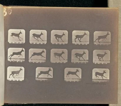 RECORD DATE NOT STATED Running. Fourteen frames of a deer running. The fra... Stock Photos