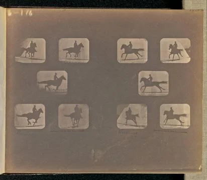 RECORD DATE NOT STATED Running. Two sets of five frames depicting a horse ... Stock Photos