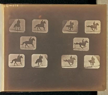 RECORD DATE NOT STATED Running. Two sets of five frames depicting a horse ... Stock Photos