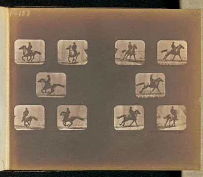 RECORD DATE NOT STATED Running. Two sets of five frames depicting a horse ... Stock Photos