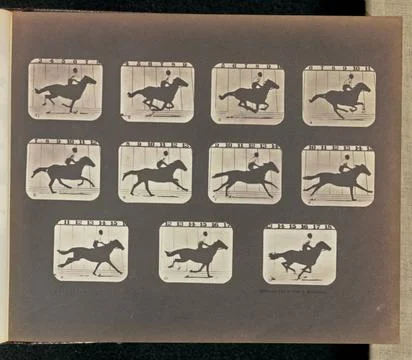 RECORD DATE NOT STATED Running (Galloping). Eleven frames depicting a hors... Stock Photos