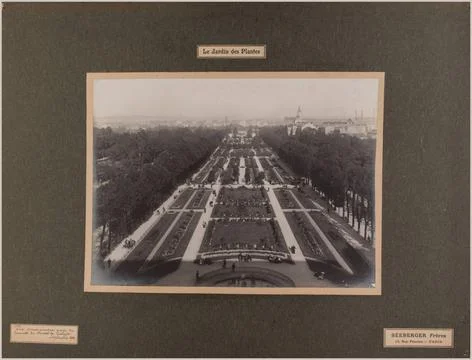 RECORD DATE NOT STATED  SÃ eberger Freres. The Garden of Plants / Panorami.. 写真素材