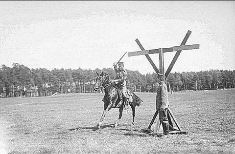RECORD DATE NOT STATED Saber fencing for horse. The various elements are d... Foto stock
