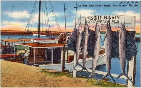 RECORD DATE NOT STATED Sailfish and yacht basin, Fort Pierce, Florida , Pi... Stock Photos
