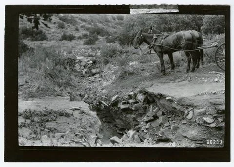 RECORD DATE NOT STATED Sand Dune - Stabilization. Photographs Relating to ... Stock Photos