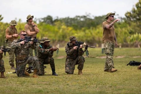 RECORD DATE NOT STATED Service members from partner nations train to react... Foto stock